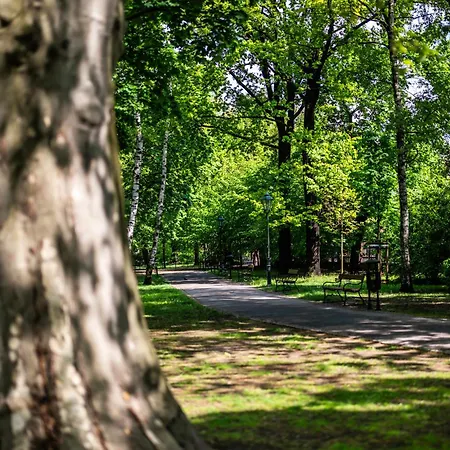 Modena Moxy Te&am Cracow